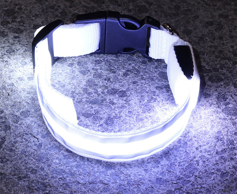 Led Luminous Dog Collar Pet Supplies